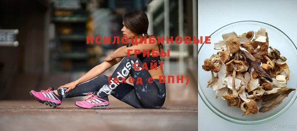 эйфоретик Краснотурьинск