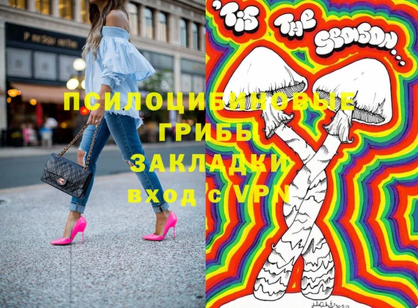 ПСИЛОЦИБИНОВЫЕ ГРИБЫ Костерёво