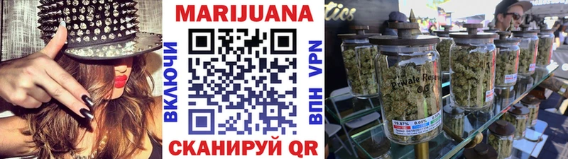 где купить наркоту  Новошахтинск  Канабис сатива 
